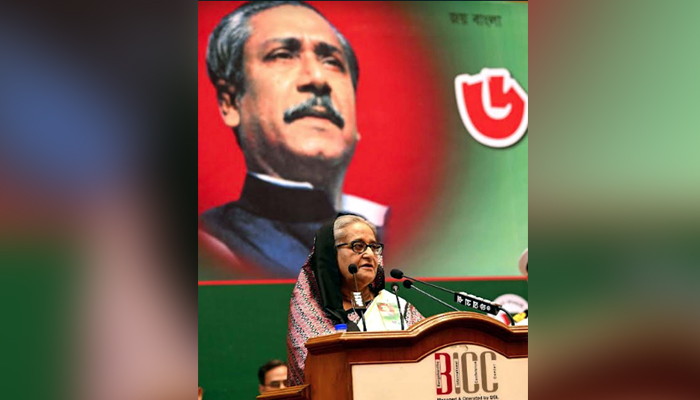 ১০-১৫ দিনের মধ্যে বিদ্যুৎ পরিস্থিতির উন্নতি হবে
