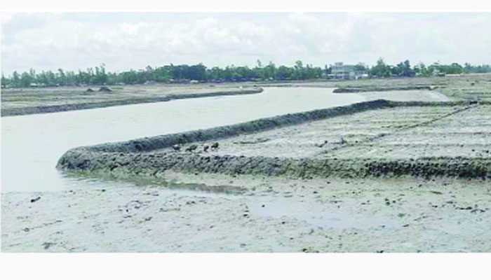 কুতুবদিয়ায় খাল ভরাট করে লবণ মাঠ তৈরি