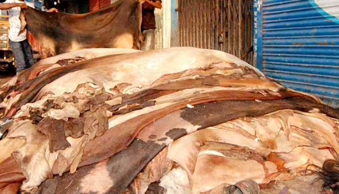 চামড়ার দাম নির্ধারণ করেছে সরকার
