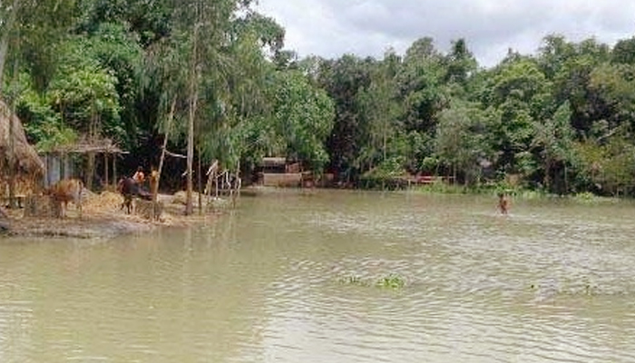 তিস্তায় পানি কমলেও পানিবন্দী হাজার হাজার মানুষ