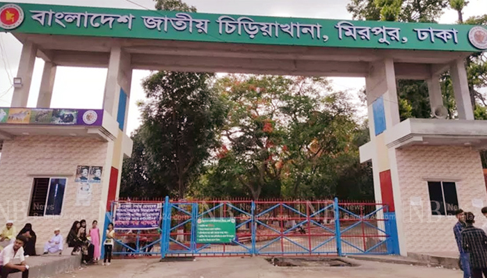 কামড়ে শিশুর হাত ছিঁড়ে নিয়ে গেল চিড়িয়াখানার হায়েনা