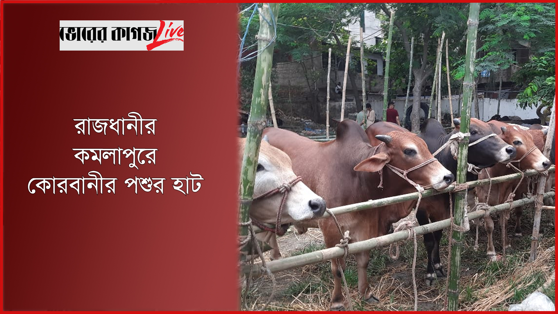 রাজধানীর কমলাপুরে কোরবানীর পশুর হাট