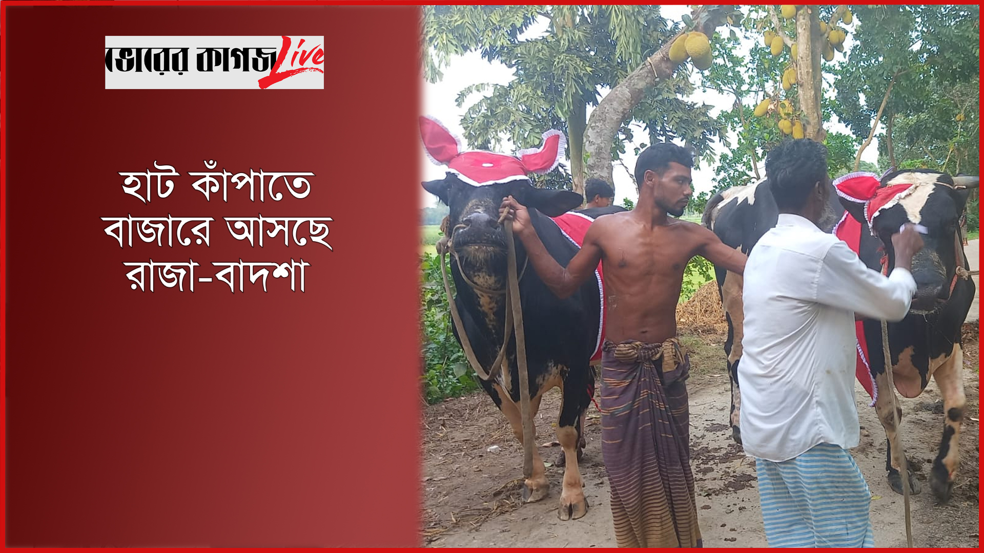 হাট কাঁপাতে বাজারে আসছে রাজা-বাদশা