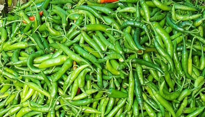 কাউখালীতে কাঁচা মরিচের কেজি ৯০০ টাকা