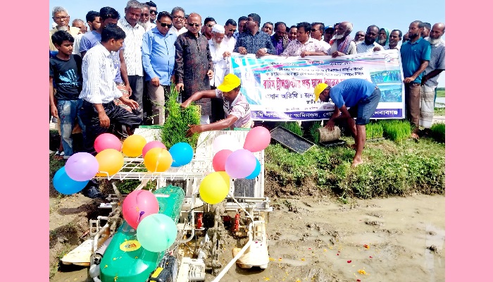 গোমস্তাপুরে যন্ত্রের মাধ্যমে ধানের চারা রোপণের উদ্বোধন