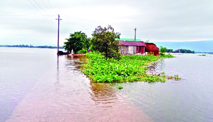 সিলেট ও সুনামগঞ্জে রোদের ঝলকানি