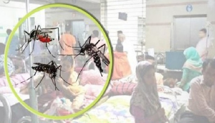 ডেঙ্গুর দুর্দিনে ডায়াগনস্টিক সেন্টারের পোয়াবারো