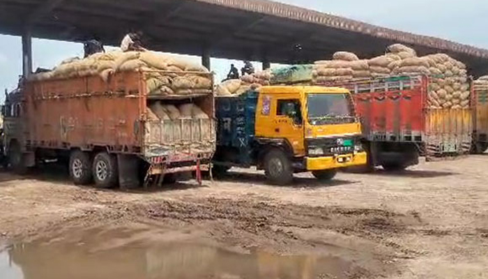 দেশে এল ৬০ টন কাঁচা মরিচ