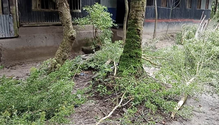 জমি নিয়ে বিরোধ, রাঙ্গাবালীতে সন্ত্রাসী হামলা