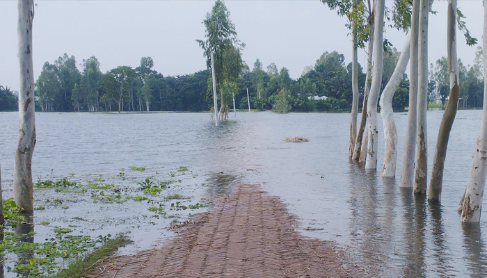 কুড়িগ্রামে বন্যা পরিস্থিতির অবনতি