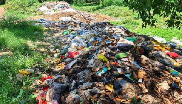 সড়কের পাশে আবর্জনার স্তুপ, বেড়েছে মশা