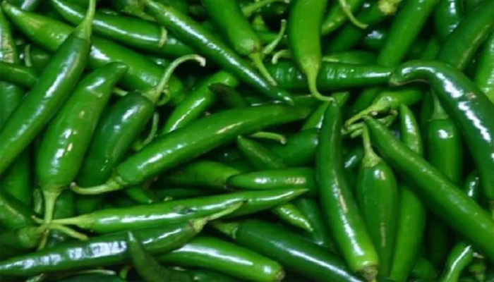 শৈলকুপায় কাঁচামরিচের কেজি ১ হাজার টাকা