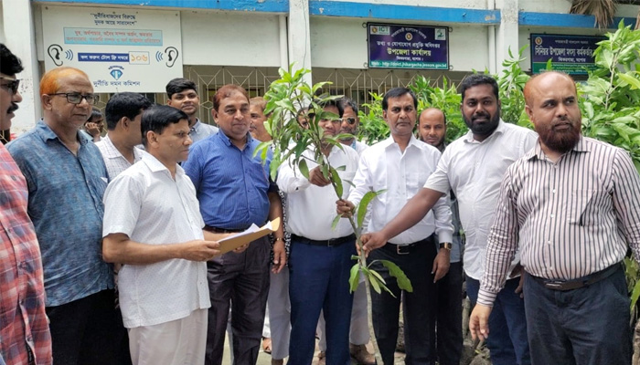 ঝিকরগাছায় বিভিন্ন শিক্ষা প্রতিষ্ঠানে ইউসিবি ব্যাংকের গাছের চারা বিতরণ