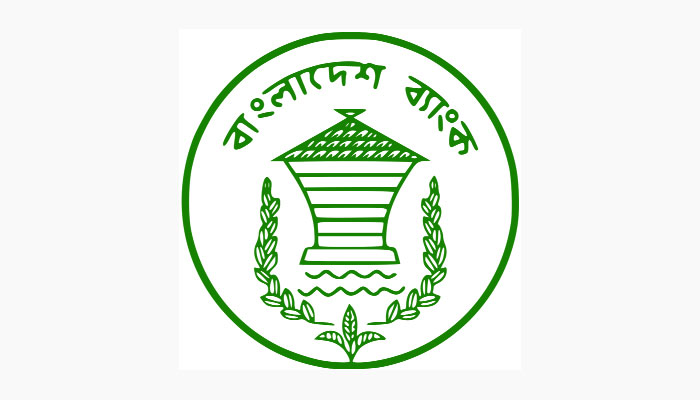 অর্জিত হয়নি বেসরকারি ঋণের লক্ষ্য