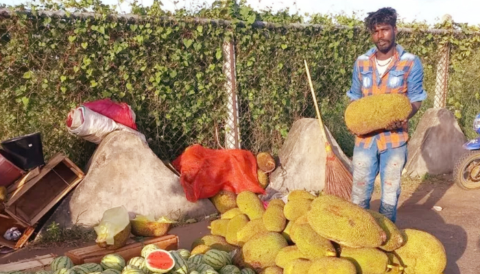 শ্রীলঙ্কায় কাঁঠাল খেয়ে এখন বেঁচে আছেন বহু মানুষ