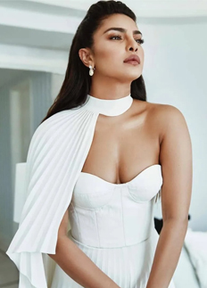 পুরনো কাণ্ডে সমালোচনায় প্রিয়াঙ্কা