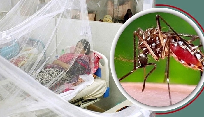 ডেঙ্গুতে আরও ৮ জনের মৃত্যু, হাসপাতালে ভর্তি ২১৬৮