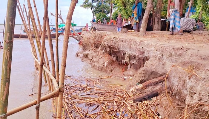 চাঁদপুরে মেঘনার ভাঙনে নদীগর্ভে দেড় শতাধিক বসতভিটা