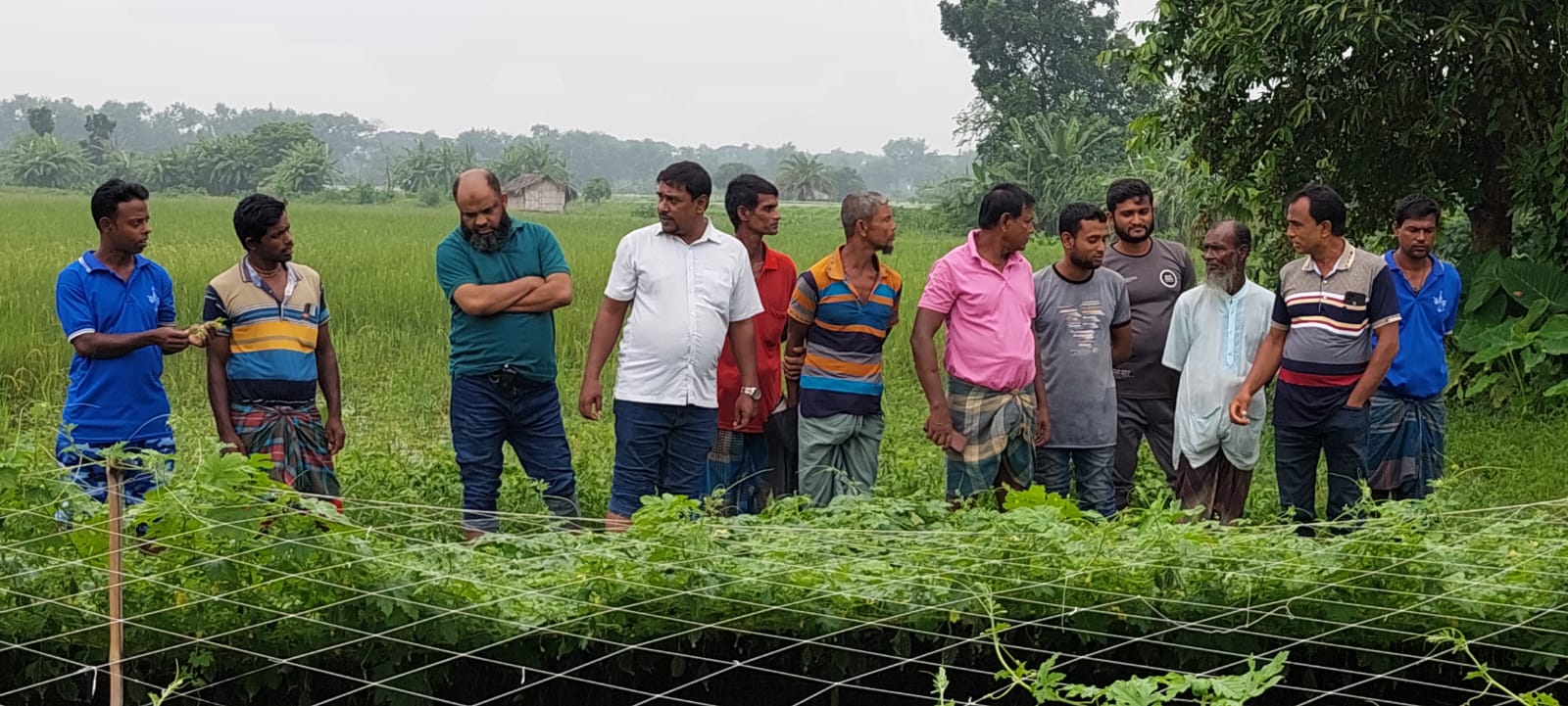 ছোট‌ করলা চাষে বাম্পার ফলন, কৃষকের মুখে হাসি