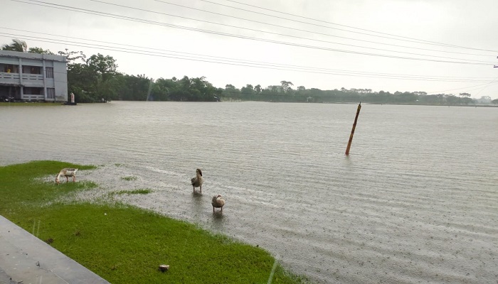 টানা বৃষ্টিতে চরম দুর্ভোগে উপকূলের বাসিন্দারা, চলছে না রান্না