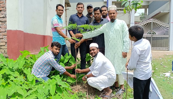 সৌন্দর্যবর্ধনে ‘হৃদয়ে আলফাডাঙ্গা’ অনন্য উদ্যোগ