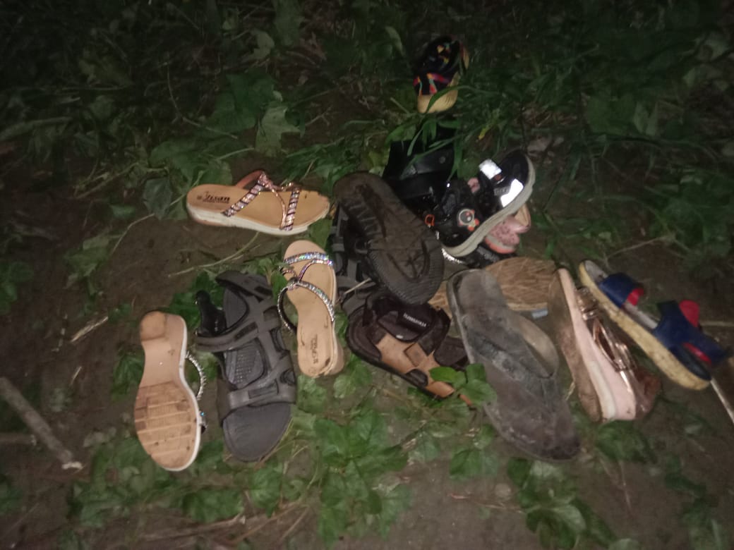 বাল্কহেডের ধাক্কায় পিকনিকের ট্রলারডুবি