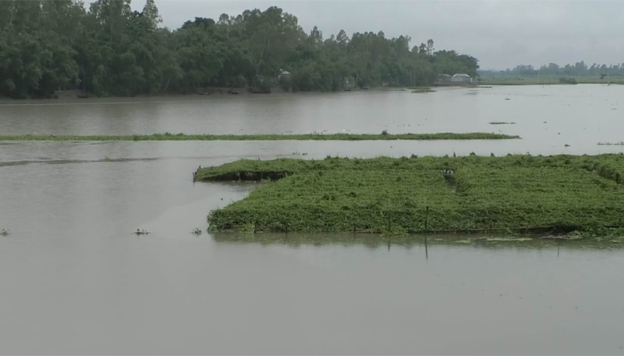 চর্মরোগে আক্রান্ত স্কুল ছাত্রী আশামনির পাশে দাঁড়ালেন ইউএনও