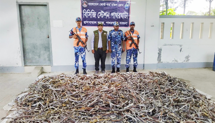 পাথরঘাটায় ৫ কোটি টাকা মূল্যের নিষিদ্ধ হাঙ্গরের শুটকি জব্দ