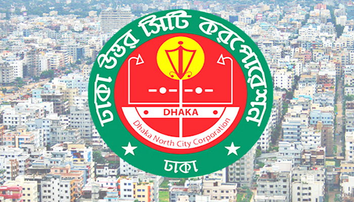 ডিএনসিসি এবার ড্রেনেজ সার্কেলের আওতায় বৈদ্যুতিক কাজ করবে