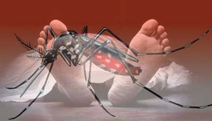 রাজশাহীতে ডেঙ্গু আক্রান্ত এক কৃষকের মৃত্যু