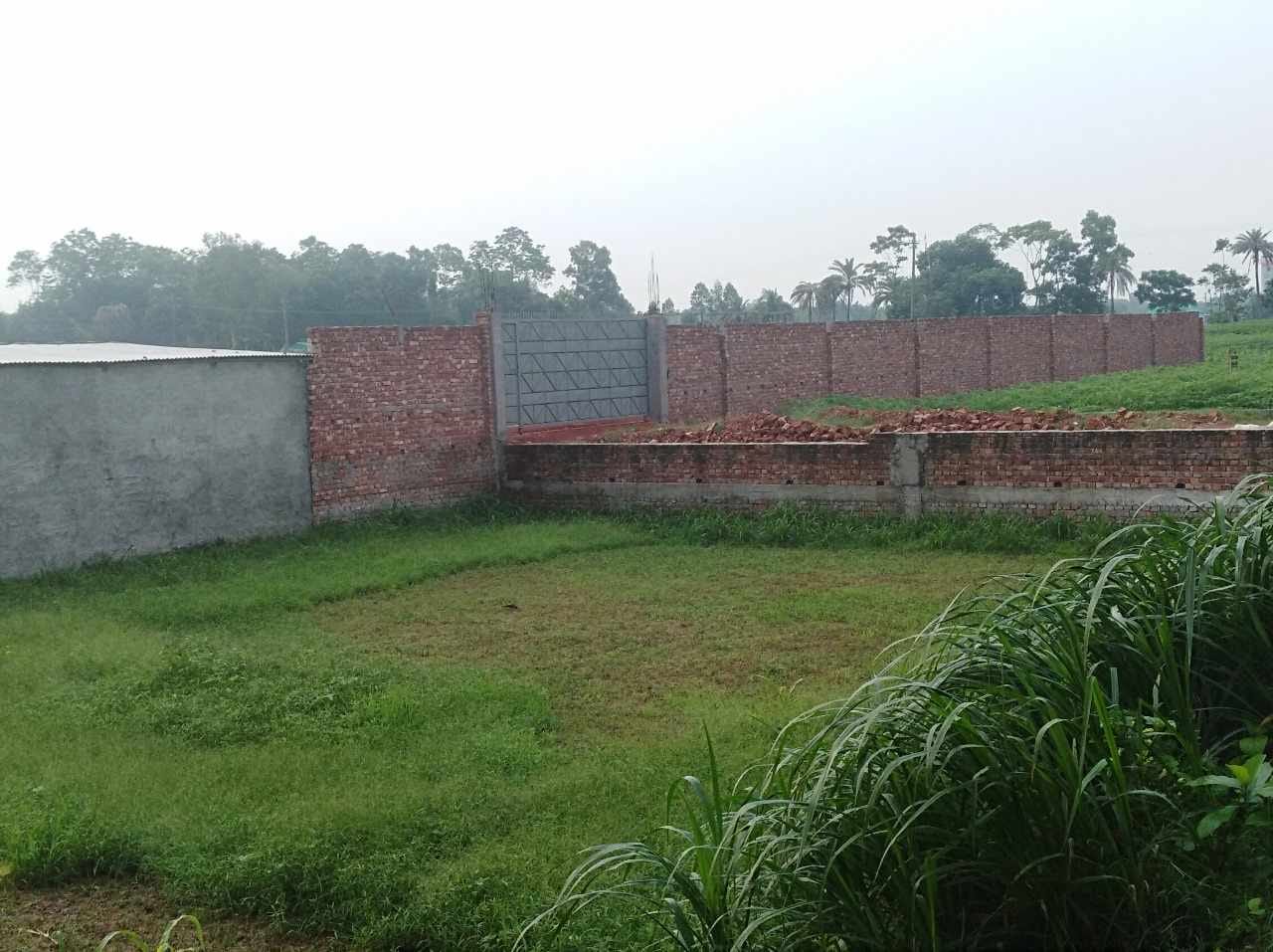 অপরিকল্পিত কলকারখানা-ইটভাটা-বসতবাড়ির জন্য সিংগাইরে কমছে কৃষি জমি