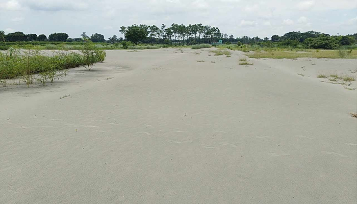 অপরিকল্পিত কলকারখানা-ইটভাটা-বসতবাড়ির জন্য সিংগাইরে কমছে কৃষি জমি