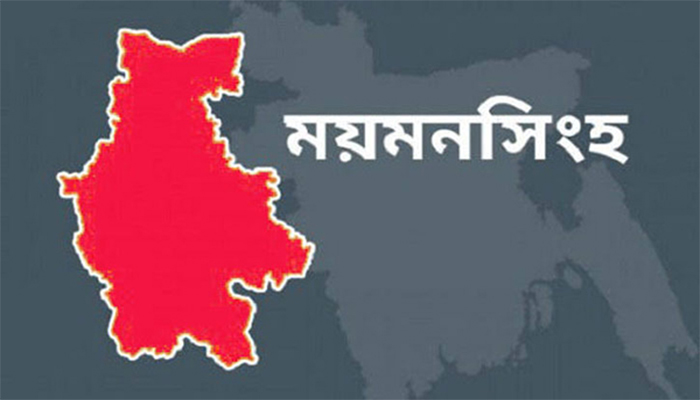 গৌরীপুরে পানিতে ডুবে দুই বোনের মৃত্যু