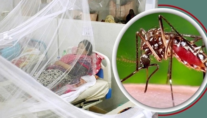 ডেঙ্গুতে আরও ২০ জনের প্রাণহানি