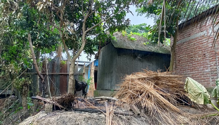 পালিত ভাতিজার অত্যাচারে অতিষ্ঠ নিরীহ পরিবার