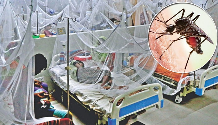 ডেঙ্গুতে আরও ১৪ জনের মৃত্যু
