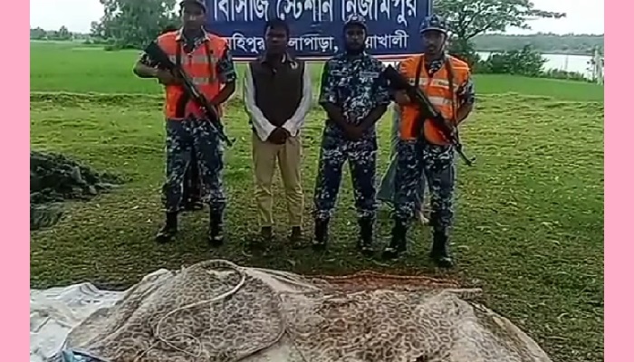 মহিপুরে ৫'শ কেজি ওজনের দুটি শাপলাপাতা মাছ জব্দ
