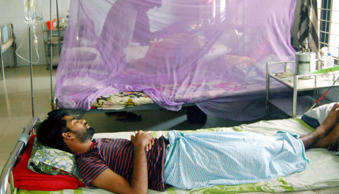 ডেঙ্গুতে মৃত্যু ৮০০ ছাড়াল