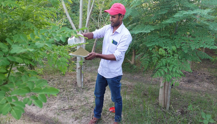 ডুমুরিয়ার সজনেপাতার গুঁড়া রপ্তানিতে আসবে বৈদেশিক মুদ্র