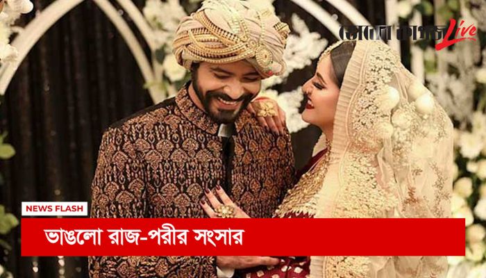বিকেলের নিউজ ফ্ল্যাশ