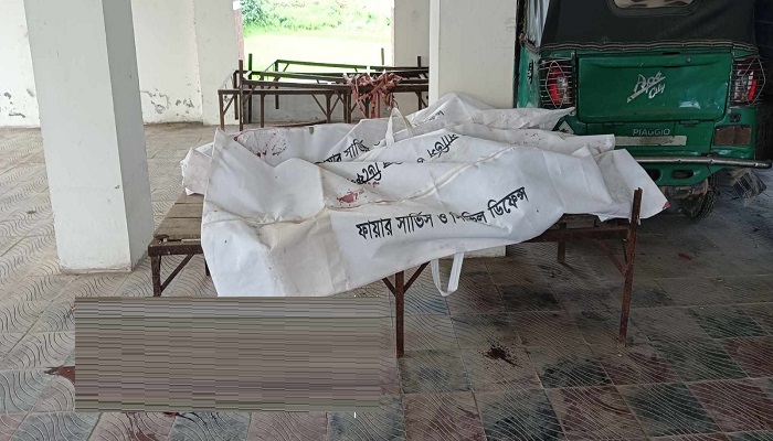 ট্রাকের ধাক্কায় ইটের লড়ি উল্টে ২ জন নিহত