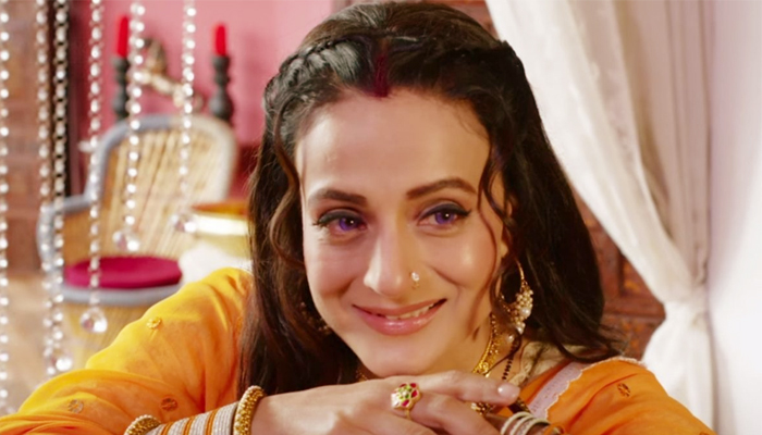 বলিউড নিয়ে বিস্ফোরক মন্তব্য আমিশার