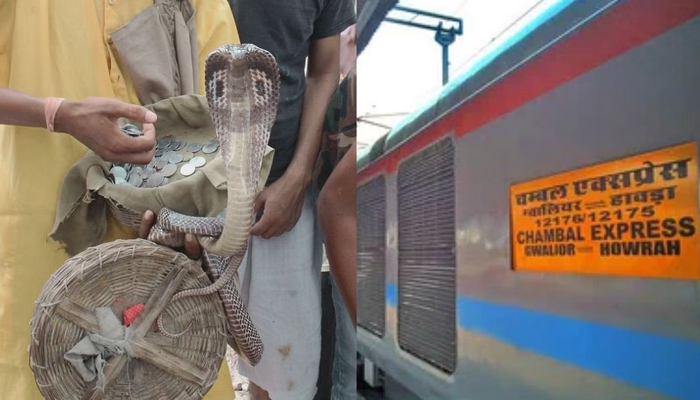 টাকা না পেয়ে চলন্ত ট্রেনে সাপ ছেড়ে দিলেন সাপুড়েরা