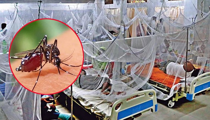 ডেঙ্গুতে আরও ১০ মৃত্যু, হাসপাতালে ২৬৬০