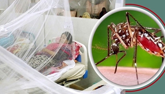 ৮ দিনে ২০ হাজার ছাড়াল ডেঙ্গু রোগী