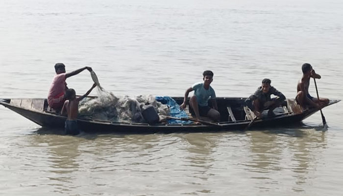 মানিকগঞ্জে অব্যাহত ইলিশ শিকার