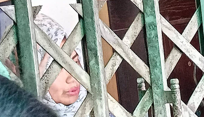 নিরাপত্তা হীনতায় ভুগছেন আফরোজা আব্বাস