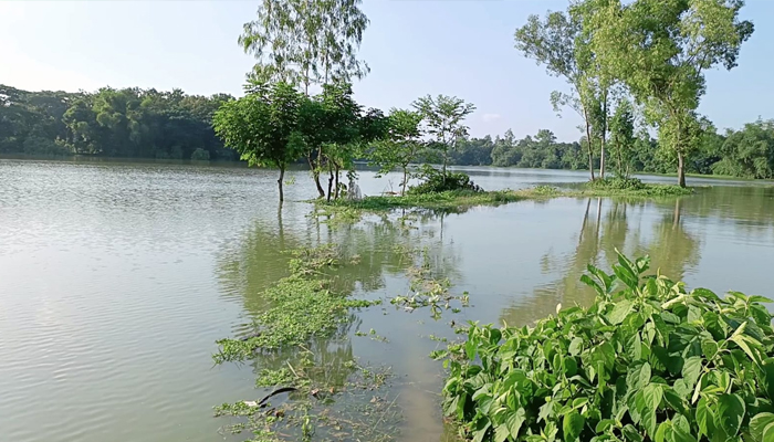 ফুলবাড়ীয়ায় পাড় ভেঙ্গে ভেসে গেছে ৩ কোটি টাকার মাছ