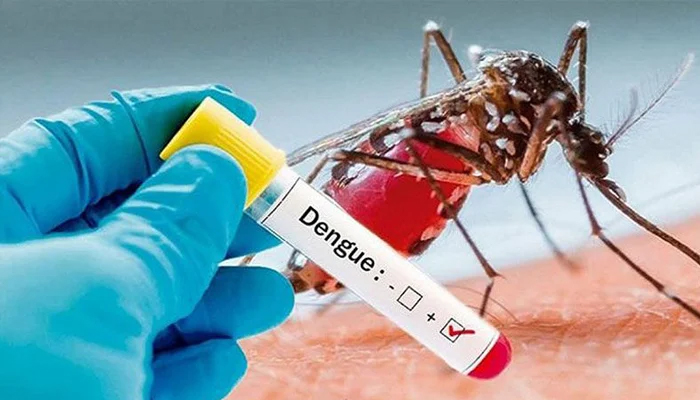 ডেঙ্গুতে আরও ১০ জনের মৃত্যু, হাসপাতালে ভর্তি ২০৪৭ জন