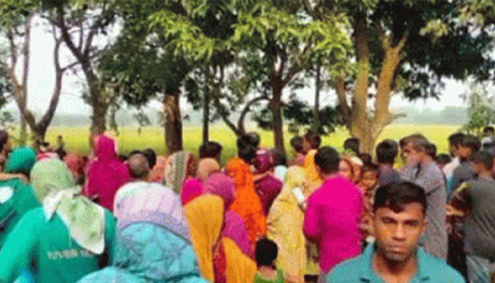 ধানখেতে মিলল কিশোরীর মাথা বিহীন মরদেহ
